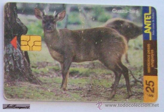 Cartes T&eacute;l&eacute;phoniques de collection: TC 91a GUAZ&Uacute; BIR&Aacute;, MAZARNA GOUAZOUBIRA - URUGUAY, ANTEL.