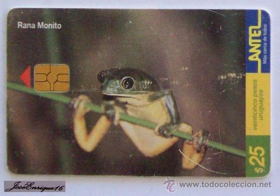 Cartes T&eacute;l&eacute;phoniques de collection: TC 96a RANA MONITO, PHYLLOMEDUSA IHERINGII - ANTEL, URUGUAY.