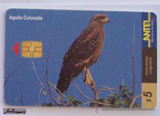 Cartes T&eacute;l&eacute;phoniques de collection: TC 109a AGUILA COLORADA, HETEROSPIZIAS MERIDIONALIS. URUGUAY, ANTEL. - Eagle - Aigle