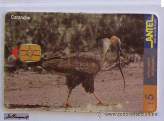 Carte telefoniche di collezione: TC 110a CARANCHO, POLYBOURUS PLANCUS. ANTEL, URUGUAY.