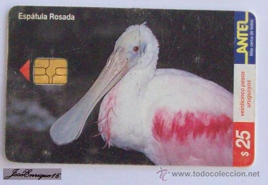 Collection telephone cards: TC 122a ESPATULA ROSADA, AJAIA AJAJA. URUGUAY, ANTEL - Roseate spoonbill - Spatule ros&eacute;e