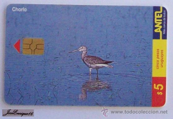 Cartes T&eacute;l&eacute;phoniques de collection: TC 125a CHORLO MAYOR DE PATAS AMARILLAS, Leucoph&eacute;e Pluvier MAIRE, Yellow-legged Plover