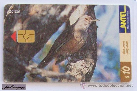 Carte telefoniche di collezione: TC 128a ZORZAL, TURDUS RUFIVENTRIS. ANTEL,URUGUAY -  MUGUET - THRUSH