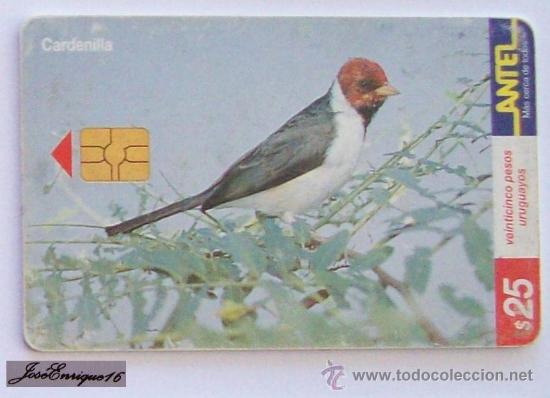 Cartes T&eacute;l&eacute;phoniques de collection: TC 132a CARDENILLA, PAROARIA CAPITATA. ANTEL, URUGUAY - Verdigris