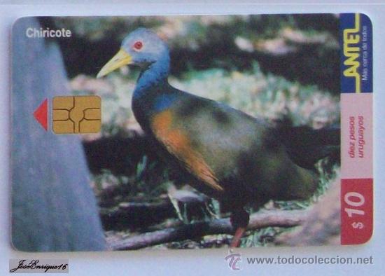 Cartes T&eacute;l&eacute;phoniques de collection: TC 148a CHIRICOTE, ARAMIDES CAJANEA. URUGUAY, ANTEL.