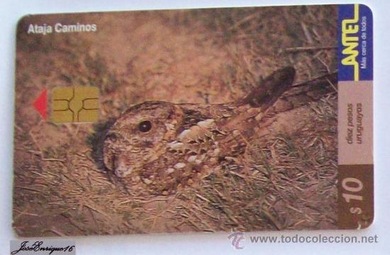 Carte telefoniche di collezione: TC 149a ATAJA CAMINOS, HYDROPSALIS BRASILIANA - ROUTE BIRD RACCOURCI - SHORTCUT BIRD ROAD - URUGUAY