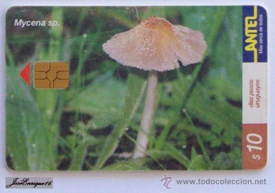 Carte telefoniche di collezione: TC 158a HONGO MYCENA SP. FUNGUS, URUGUAY. ANTEL.