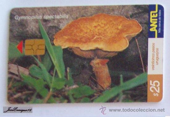 Carte telefoniche di collezione: TC 160a HONGO EUCALIPTUS FUNGUS, URUGUAY. ANTEL - GYMNOPILUS SPECTABILIS
