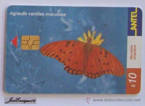 Cartes T&eacute;l&eacute;phoniques de collection: TC 183a MARIPOSA, Butterfly, AGRALIUS VANILLAE MACULOSA, URUGUAY, ANTEL.