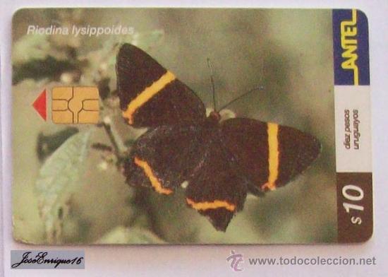 Cart&otilde;es de telefone de cole&ccedil;&atilde;o: TC 186a MARIPOSA, Butterfly, RIODINA LYSIPPOIDES, URUGUAY, ANTEL