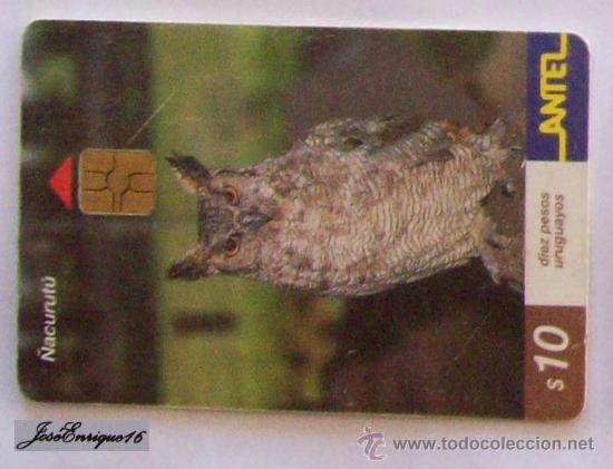 Cartes T&eacute;l&eacute;phoniques de collection: TC 197a &Ntilde;ACURUTU, BUBO VIRGINIANUS. Great Horned Owl, Grand-duc d'Am&eacute;rique. URUGUAY, ANTEL.