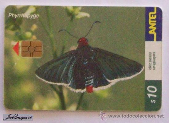 Cart&otilde;es de telefone de cole&ccedil;&atilde;o: TC 198a MARIPOSA, Butterfly, PHYRRHOPYGE, URUGUAY, ANTEL