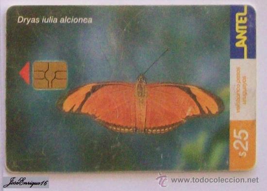 Cart&otilde;es de telefone de cole&ccedil;&atilde;o: TC 199a MARIPOSA, Butterfly, DRYAS IULIA ALCIONEA, URUGUAY, ANTEL