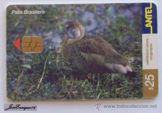 Collection telephone cards: TC 209a PATO BRASILERO, BRAZILIAN DUCK, BR&Eacute;SILIEN DE CANARD.