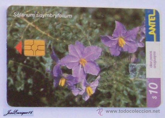 Carte telefoniche di collezione: TC 217a REVIENTA CABALLOS, SOLANUM SISMBRYFOLIUM. ARBUSTO URUGUAY. ANTEL