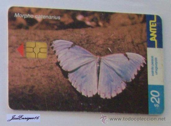 Cartes T&eacute;l&eacute;phoniques de collection: TC 246a Butterfly, MARIPOSA. MORPHO CATENARIUS. ANTEL, URUGUAY.