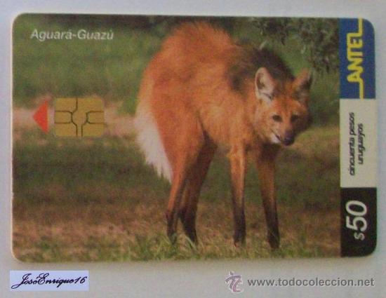 Cart&otilde;es de telefone de cole&ccedil;&atilde;o: TC 250a ZORRO AGUARA GUAZU. CHRYSOCYON BRACHYURUS. URUGUAY, ANTEL. FOX