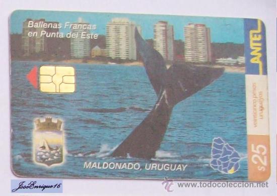 Cart&otilde;es de telefone de cole&ccedil;&atilde;o: TC 253a BALLENAS FRANCAS, PUNTA DEL ESTE, MALDONADO, URUGUAY. ANTEL. WHALES, BALEINES.