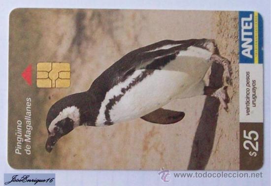 Cartes T&eacute;l&eacute;phoniques de collection: TC 269a PING&Uuml;INO DE MAGALLANES, SPHENISCUS MAGELLANICUS. PENGUIN. ANTEL, URUGUAY