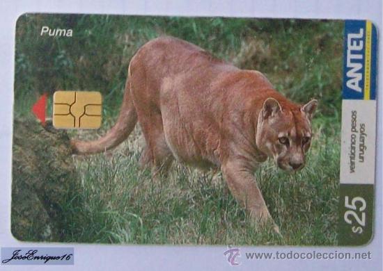 Cartes T&eacute;l&eacute;phoniques de collection: TC 274a PUMA, CONCOLOR. Cougar. ANTEL, URUGUAY.