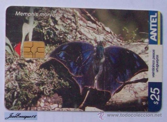 Cartes T&eacute;l&eacute;phoniques de collection: TC 290a Butterfly, MARIPOSA. MEMPHIS MORVUS, AZULINA. ANTEL, URUGUAY.