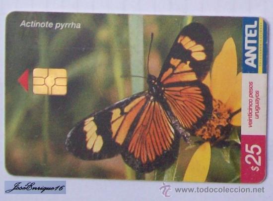 Cartes T&eacute;l&eacute;phoniques de collection: TC 291a Butterfly, MARIPOSA. ACTINOTE PYRRHA PEREZOSA. ANTEL, URUGUAY.