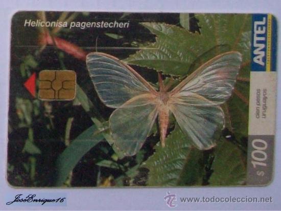 Cartes T&eacute;l&eacute;phoniques de collection: TC 293a Butterfly, MARIPOSA. HELICONISA PAGENSTECHERI. ANTEL, URUGUAY.