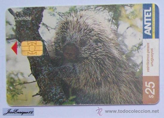 Carte telefoniche di collezione: TC 301a COEND&Uacute;, SPHIGGURUS SPINOSUS. URUGUAY, ANTEL.