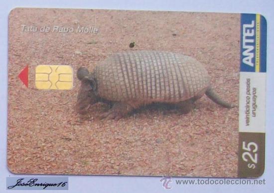 Cartes T&eacute;l&eacute;phoniques de collection: TC 304a TATU DE RABO MOLLE, CABASSOUS TATOUAY. ANTEL, URUGUAY.