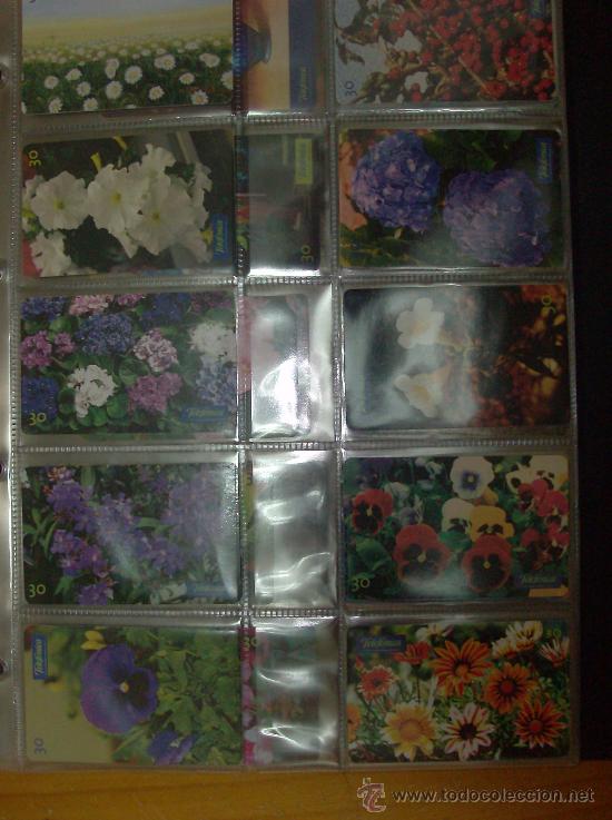 Collection telephone cards: 10 RECARGAS TELEFONICAS DE BRASIL LOTE N&ordm; 1  FLORES