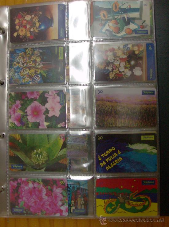 Collection telephone cards: 10 RECARGAS TELEFONICAS DE BRASIL LOTE N&ordm; 2  FLORES