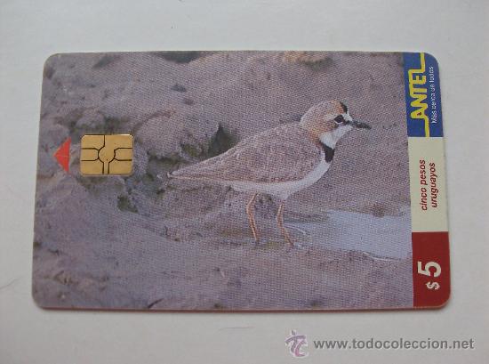 Sammlung von Telefonkarten: TARJETA TELEFONO DE URUGAY, ANTEL.  AVES