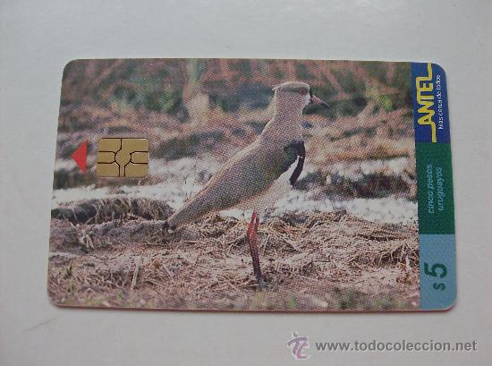 Sammlung von Telefonkarten: TARJETA TELEFONO DE URUGAY, ANTEL.  AVES