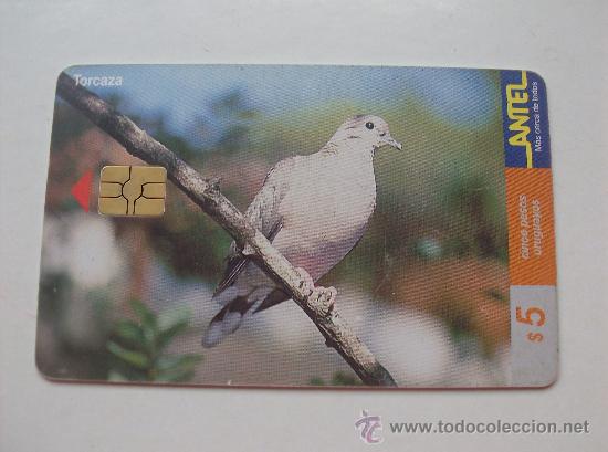 Sammlung von Telefonkarten: TARJETA TELEFONO DE URUGAY, ANTEL.  AVES
