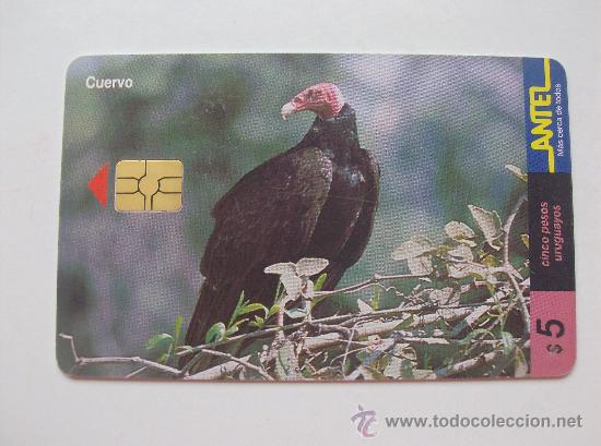 Sammlung von Telefonkarten: TARJETA TELEFONO DE URUGAY, ANTEL.  AVES