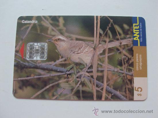 Sammlung von Telefonkarten: TARJETA TELEFONO DE URUGAY, ANTEL.  AVES