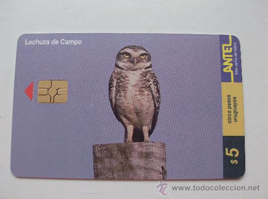 Sammlung von Telefonkarten: TARJETA TELEFONO DE URUGAY, ANTEL.  AVES