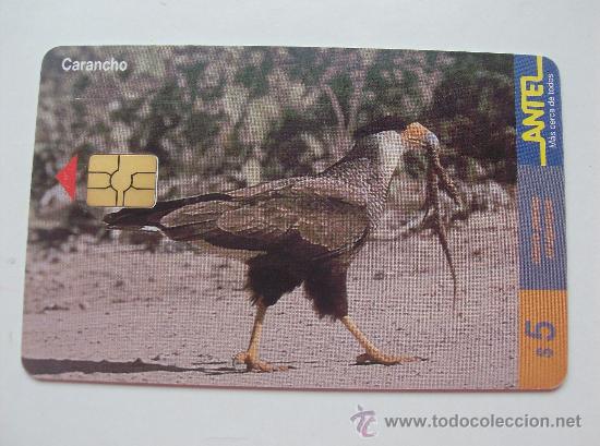 Sammlung von Telefonkarten: TARJETA TELEFONO DE URUGAY, ANTEL.  AVES