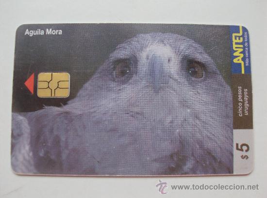 Sammlung von Telefonkarten: TARJETA TELEFONO DE URUGAY, ANTEL.  AVES