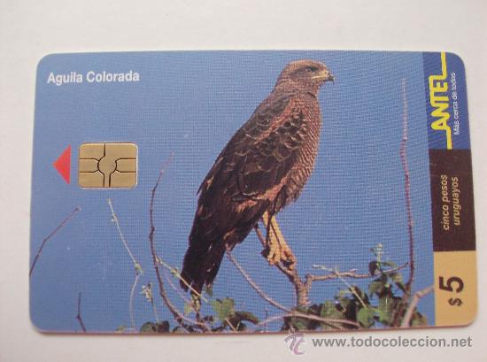 Sammlung von Telefonkarten: TARJETA TELEFONO DE URUGAY, ANTEL.  AVES
