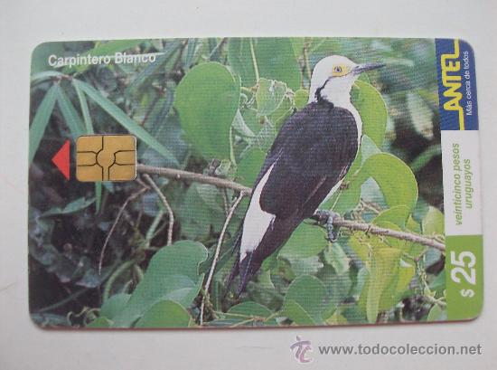 Sammlung von Telefonkarten: TARJETA TELEFONO DE URUGAY, ANTEL.  AVES