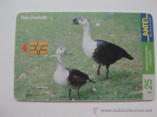Sammlung von Telefonkarten: TARJETA TELEFONO DE URUGAY, ANTEL.  AVES