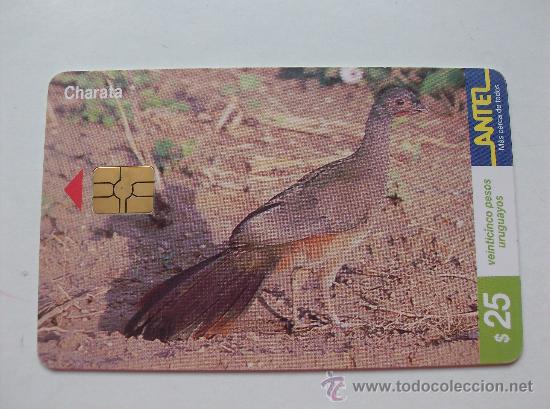 Sammlung von Telefonkarten: TARJETA TELEFONO DE URUGAY, ANTEL.  AVES