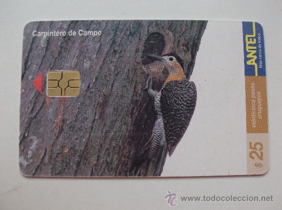 Sammlung von Telefonkarten: TARJETA TELEFONO DE URUGAY, ANTEL.  AVES