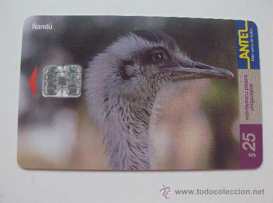 Sammlung von Telefonkarten: TARJETA TELEFONO DE URUGAY, ANTEL.  AVES