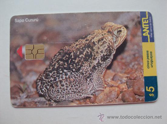 Sammlung von Telefonkarten: TARJETA TELEFONO DE URUGAY, ANTEL. RANAS Y SAPOS