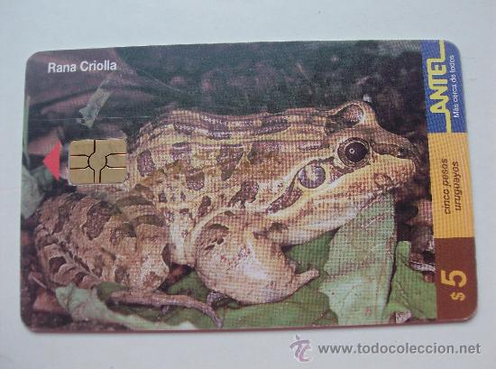 Sammlung von Telefonkarten: TARJETA TELEFONO DE URUGAY, ANTEL. RANAS Y SAPOS
