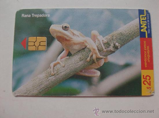 Sammlung von Telefonkarten: TARJETA TELEFONO DE URUGAY, ANTEL. RANAS Y SAPOS