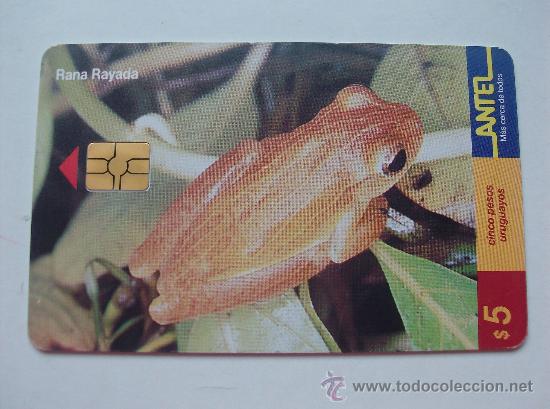 Sammlung von Telefonkarten: TARJETA TELEFONO DE URUGAY, ANTEL. RANAS Y SAPOS