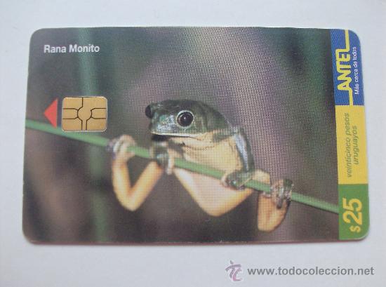 Sammlung von Telefonkarten: TARJETA TELEFONO DE URUGAY, ANTEL. RANAS Y SAPOS